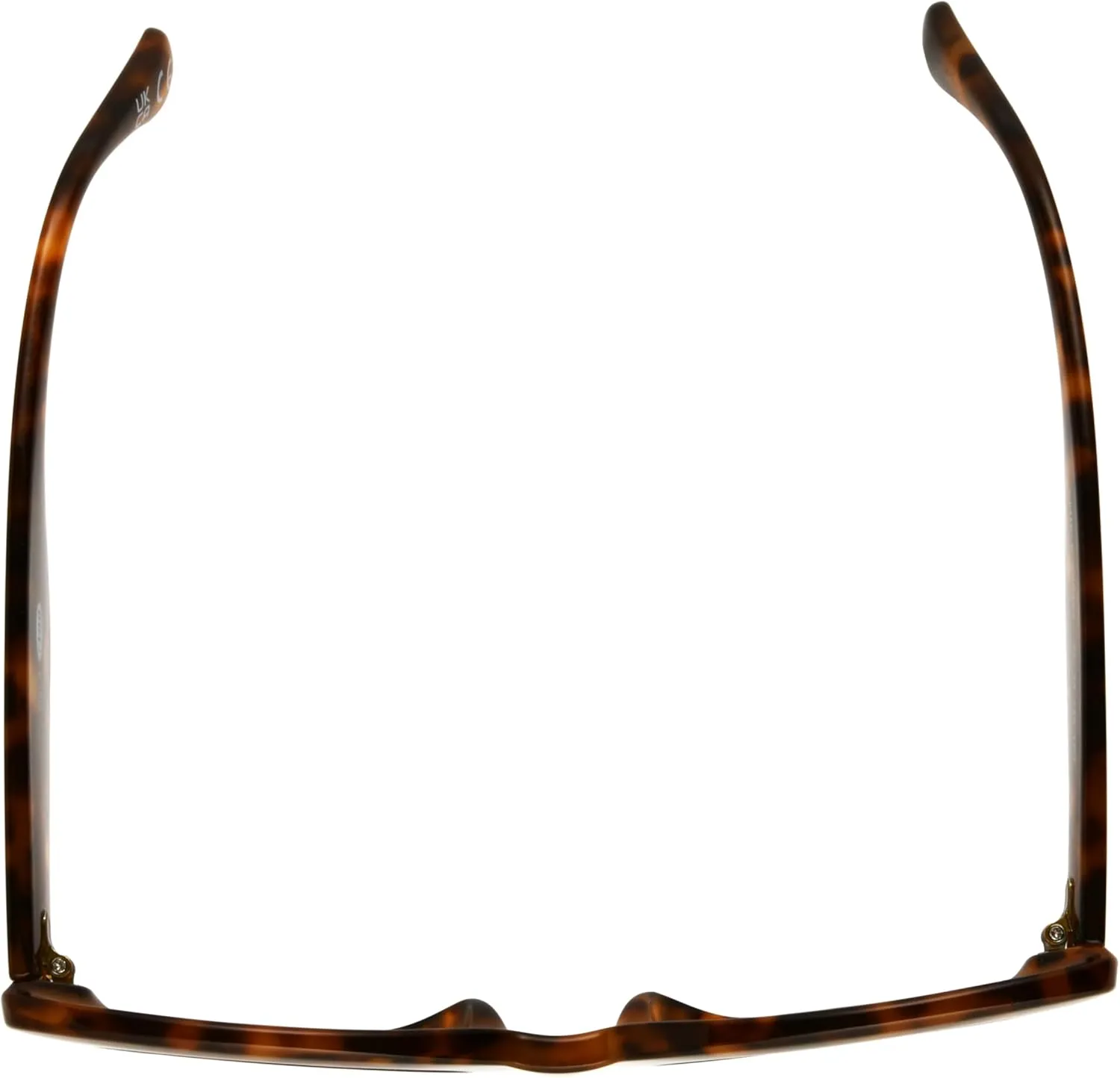 French Connection Women's Pixie Sunglasses Oval