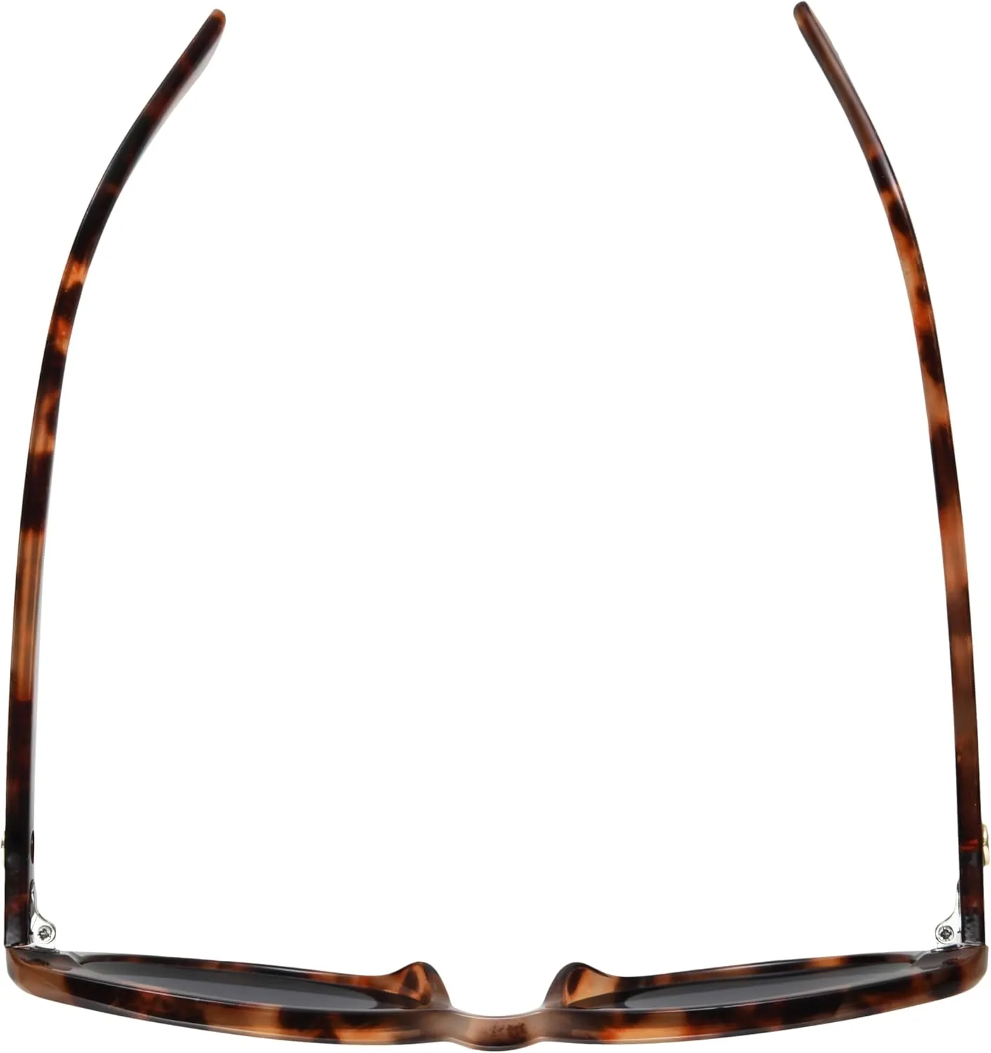 French Connection Women's Sylvia Oval Sunglasses