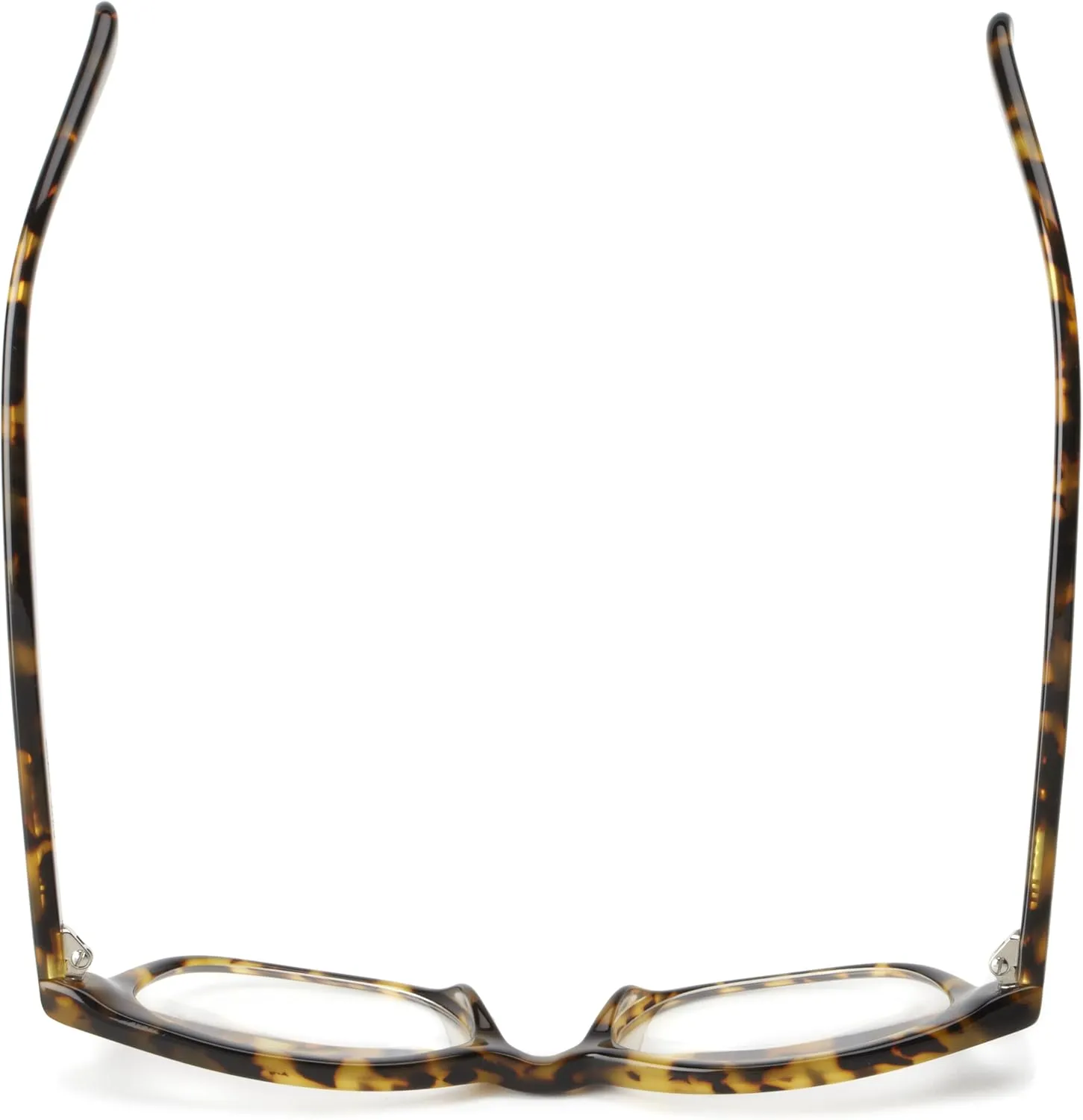 kate spade new york Women's Rebecca Oval Reading Sunglasses