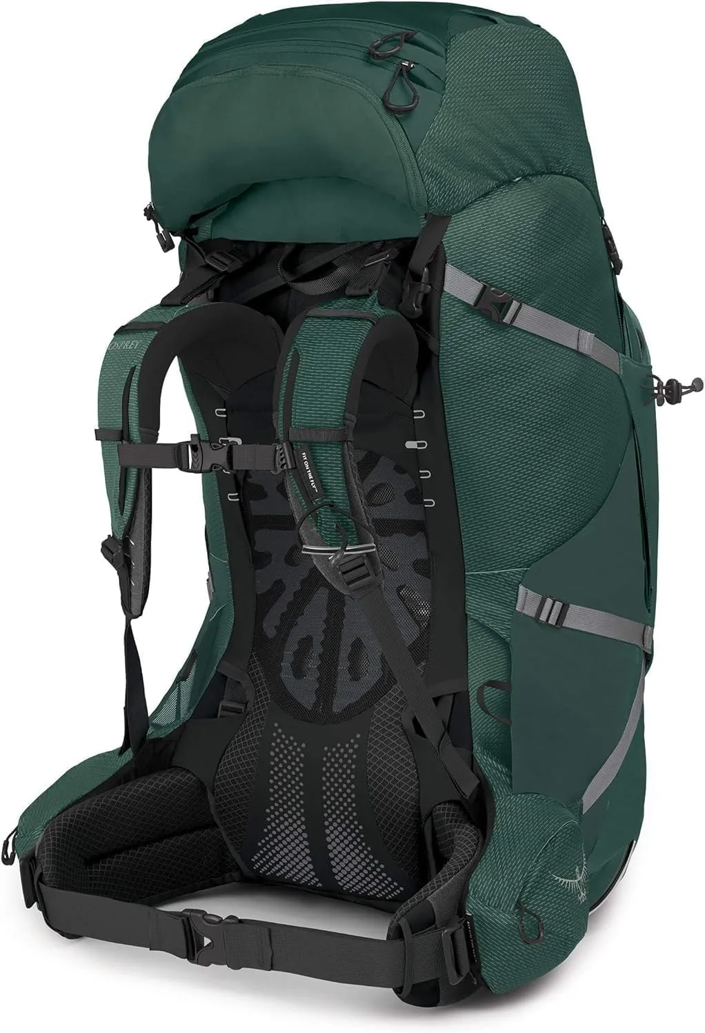 Osprey Aether Plus 100L Men's Backpacking Backpack, Axo Green, S/M