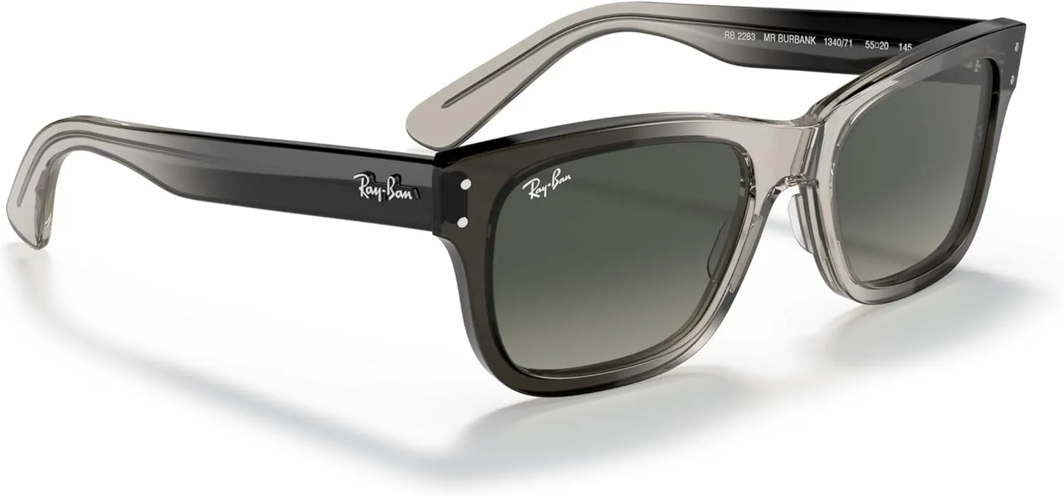 Ray-Ban Men's RB2283 Mr. Burbank Rectangular Sunglasses