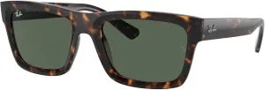 Ray-Ban Men's RB4396 Warren Rectangular Sunglasses