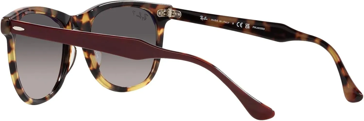 Ray-Ban RB2398 Eagle Eye Square Sunglasses