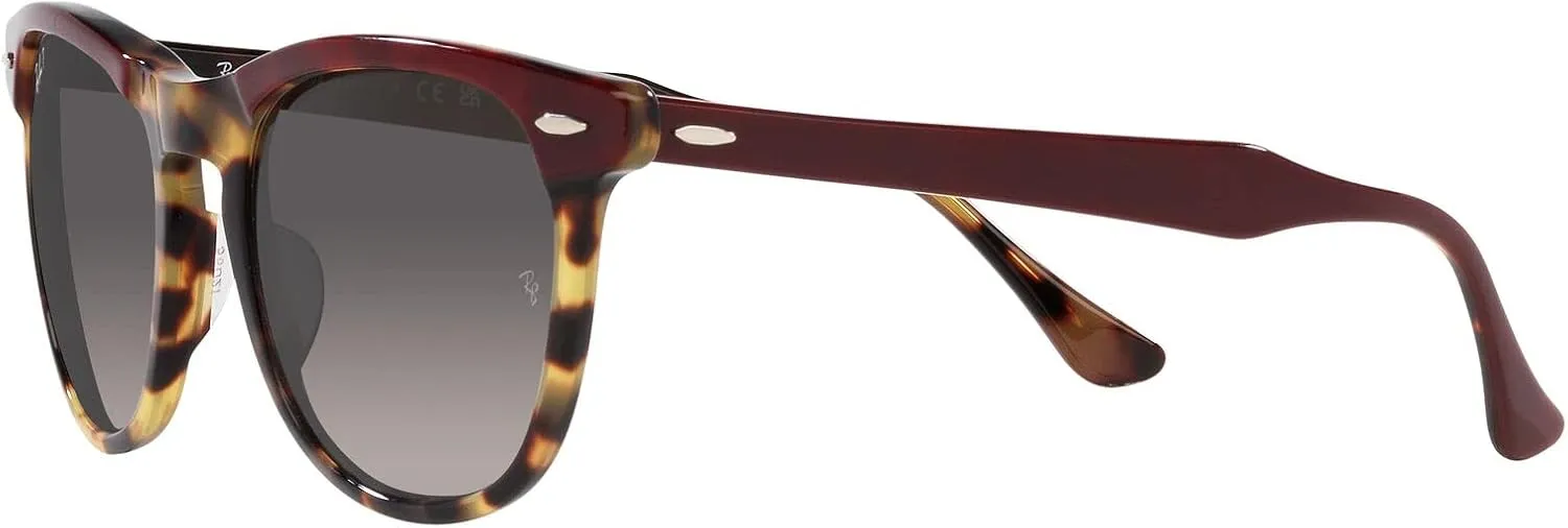 Ray-Ban RB2398 Eagle Eye Square Sunglasses