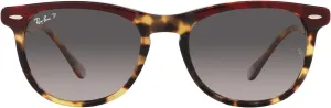 Ray-Ban RB2398 Eagle Eye Square Sunglasses