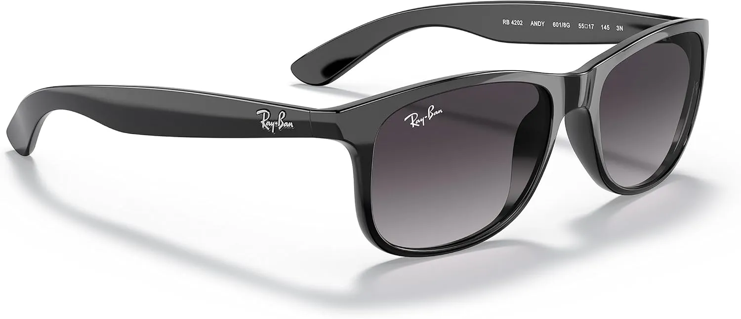 Ray-Ban RB4202 Andy Rectangular Sunglasses