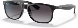 Ray-Ban RB4202 Andy Rectangular Sunglasses