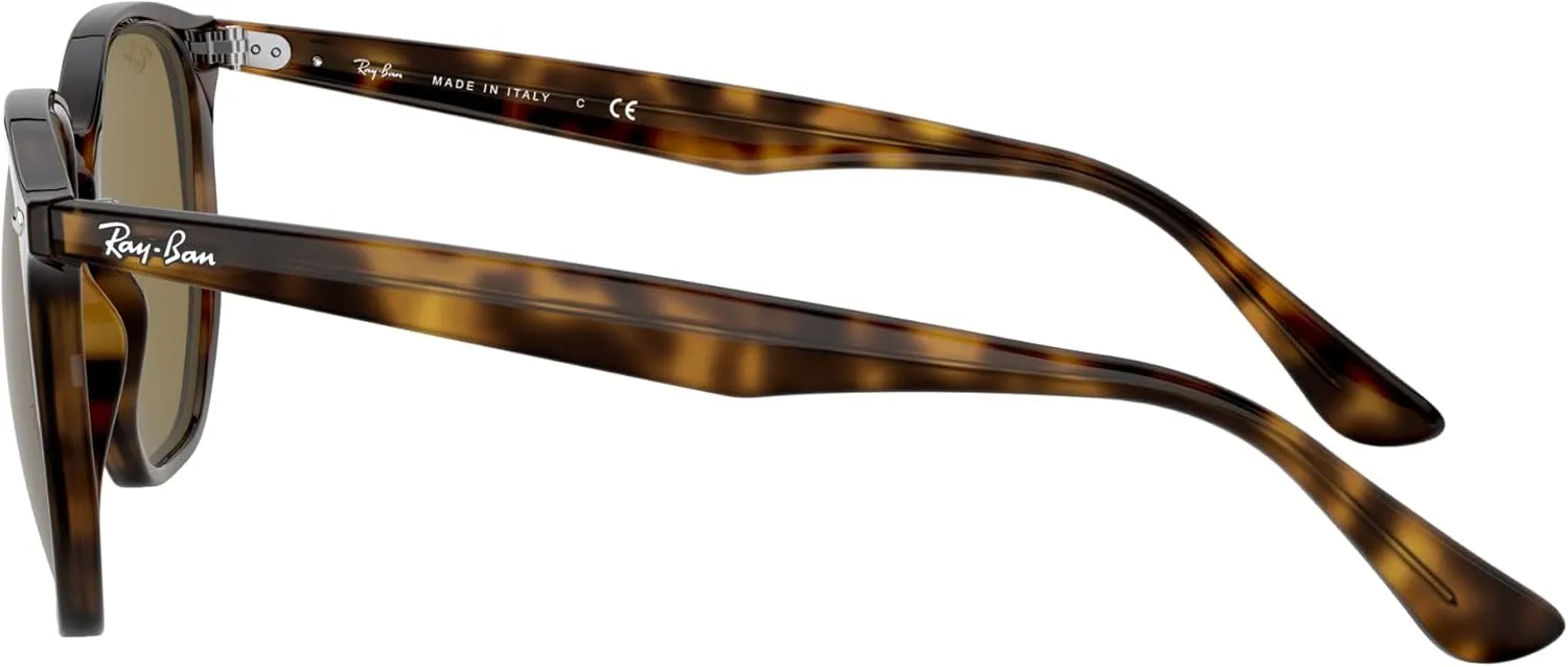 Ray-Ban RB4306 Hexagonal Sunglasses