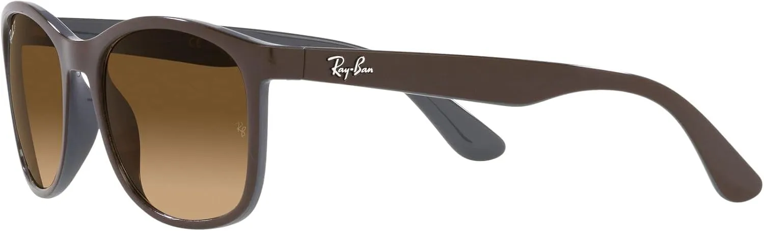 Ray-Ban RB4374 Square Sunglasses