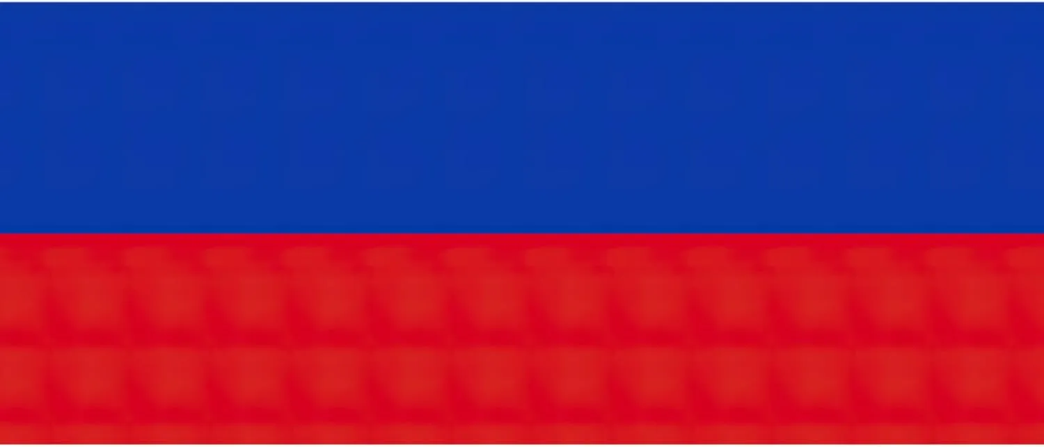 Russian Flag print Backpack Travel Backpacks for Women Men College Backpack Computer Bag for Travel